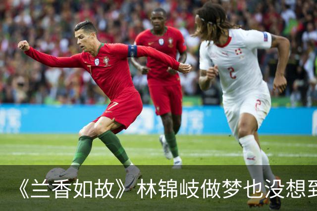 《兰香如故》林锦岐做梦也没想到！鲁鉴殴打林绣莱，就是故意做给他看的——鲁鉴等的就是林锦岐动手