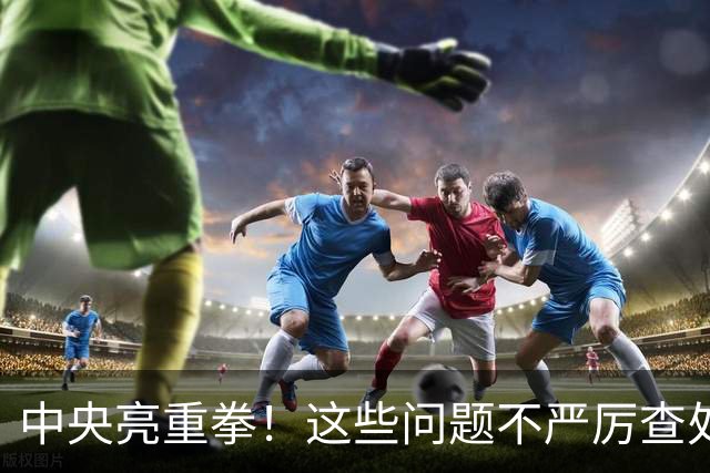 中央亮重拳！这些问题不严厉查处的，直接追究地方领导责任！