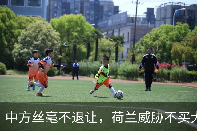 中方丝毫不退让，荷兰威胁不买大陆芯片，外媒：欧盟忍耐到极点