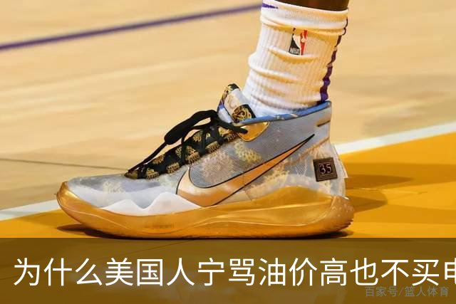 为什么美国人宁骂油价高也不买电动车？