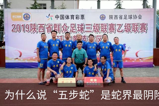 为什么说“五步蛇”是蛇界最阴险的毒蛇？它有何特别之处？