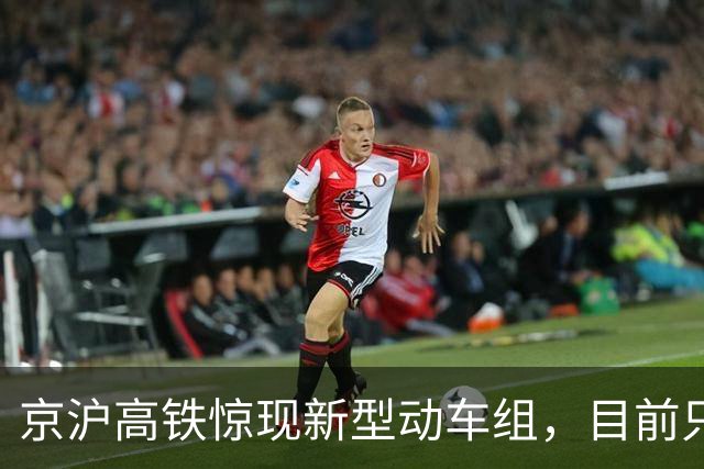 京沪高铁惊现新型动车组，目前只配属北京和上海