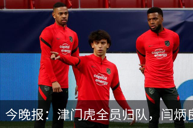 今晚报：津门虎全员归队，闫炳良、巴顿回归但仍在康复