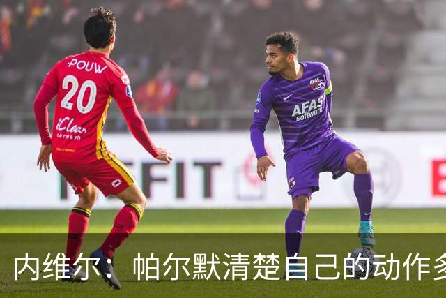 内维尔：帕尔默清楚自己的动作多脏，他的反应看起来很蠢