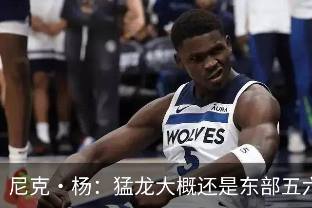 尼克·杨：猛龙大概还是东部五六名 但有伦纳德季后赛谁都不想碰