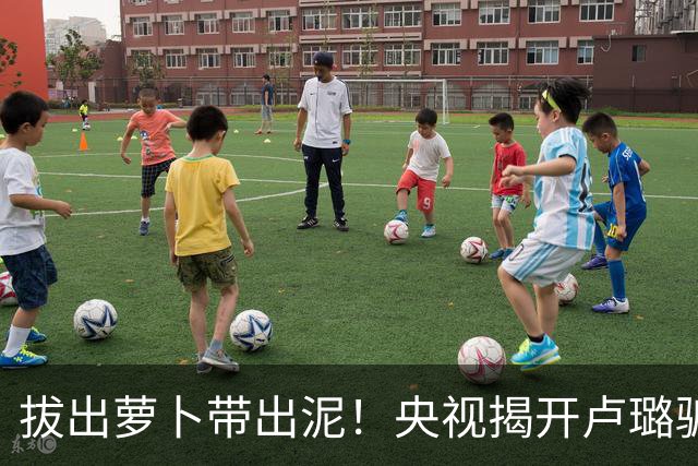 拔出萝卜带出泥！央视揭开卢璐骗局内幕，竟意外牵扯大半个娱乐圈