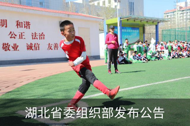 湖北省委组织部发布公告
