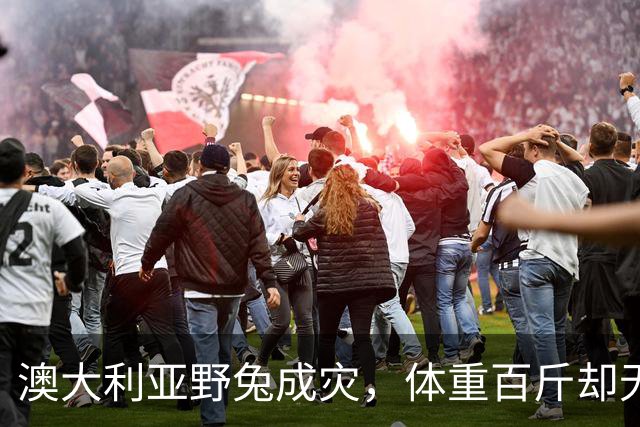 澳大利亚野兔成灾，体重百斤却无人食用，当地人给出答案：不敢吃