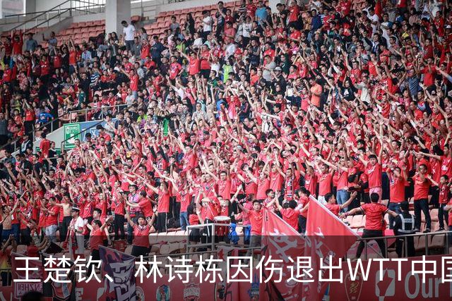 王楚钦、林诗栋因伤退出WTT中国大满贯，将进行休整