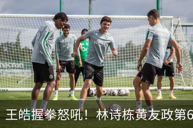 王皓握拳怒吼！林诗栋/黄友政第6局轰出11-1夺冠 张本智和沉默不语