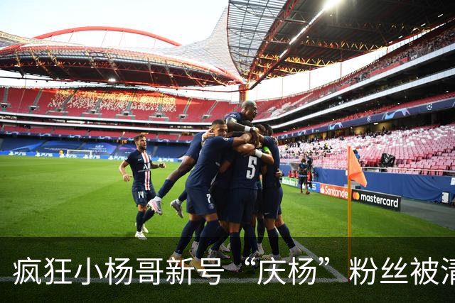 疯狂小杨哥新号“庆杨”粉丝被清零