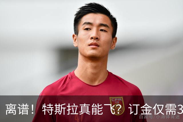 离谱！特斯拉真能飞？订金仅需33万.。。