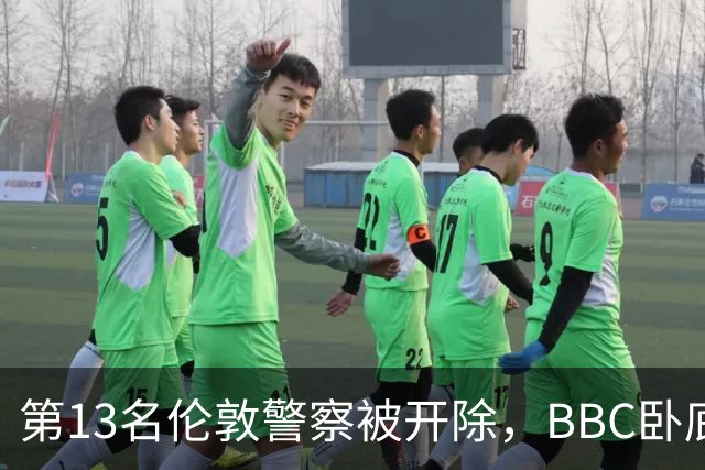 第13名伦敦警察被开除，BBC卧底调查再掀波澜