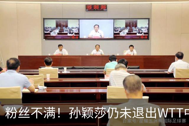粉丝不满！孙颖莎仍未退出WTT中国赛 媒体人：靠她咬牙坚持撑票房