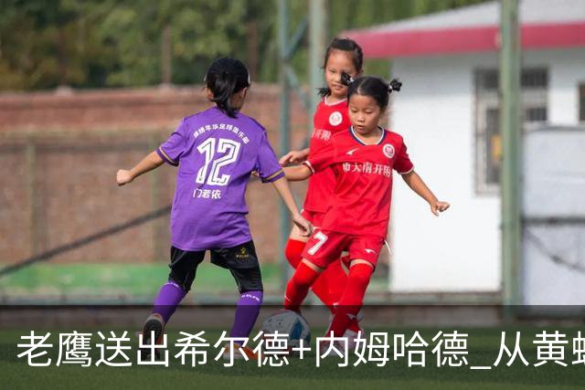 老鹰送出希尔德+内姆哈德 从黄蜂得到芬尼-史密斯