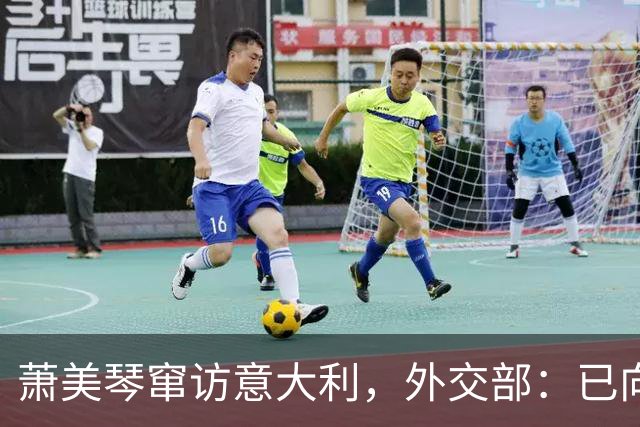 萧美琴窜访意大利，外交部：已向意方、欧方提出了严正交涉