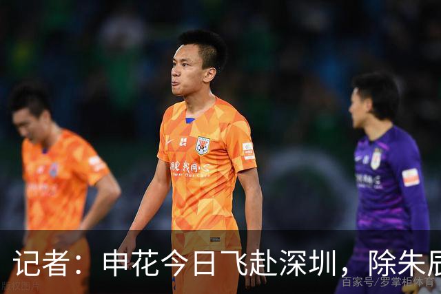 记者：申花今日飞赴深圳，除朱辰杰盖伊等伤员外几乎全员出征