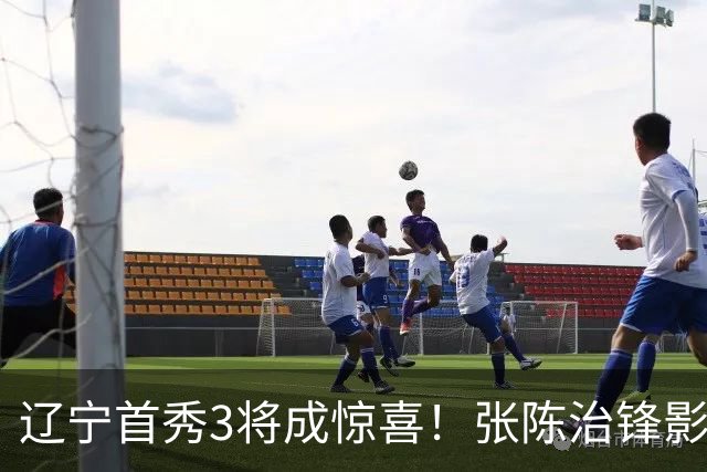 辽宁首秀3将成惊喜！张陈治锋影响内线，吴昌泽精准，签段睿骐赚大了