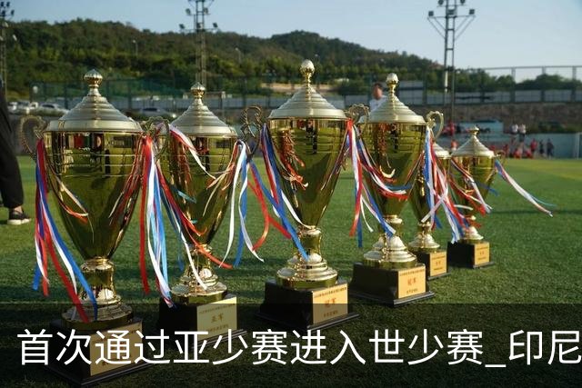 首次通过亚少赛进入世少赛 印尼青训厚积薄发