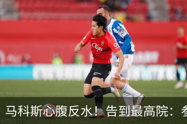 马科斯心腹反水！告到最高院：参议院篡改宪法，14票定罪副总统