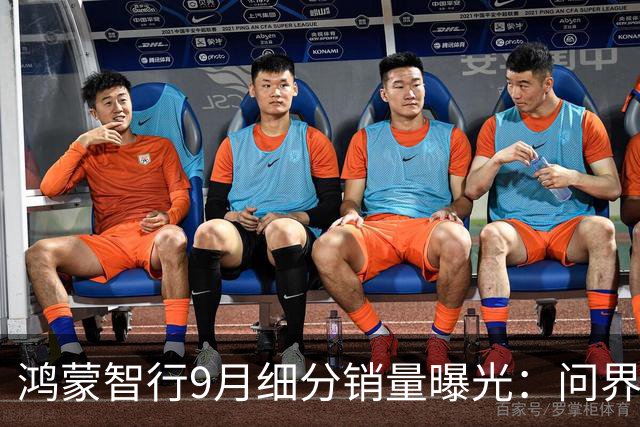 鸿蒙智行9月细分销量曝光：问界M9破万位列第一、尊界V800百万级MPV交付首月就超2000台