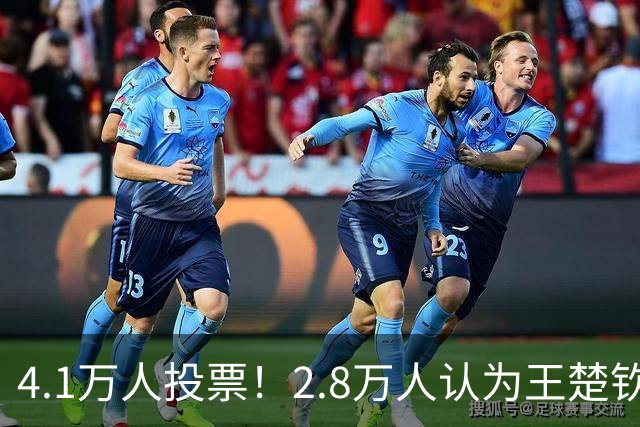 4.1万人投票！2.8万人认为王楚钦不该登上海报 媒体：输了不躲