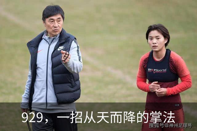 929，一招从天而降的掌法